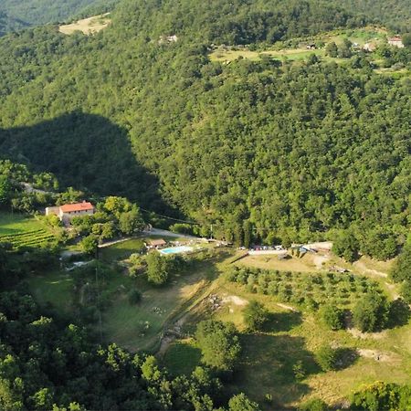 Il Colle - Apartment Giglio Флоренція Екстер'єр фото